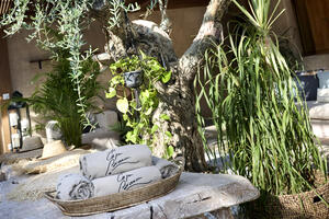 Galerie photo Villa vue mer U MUlinu